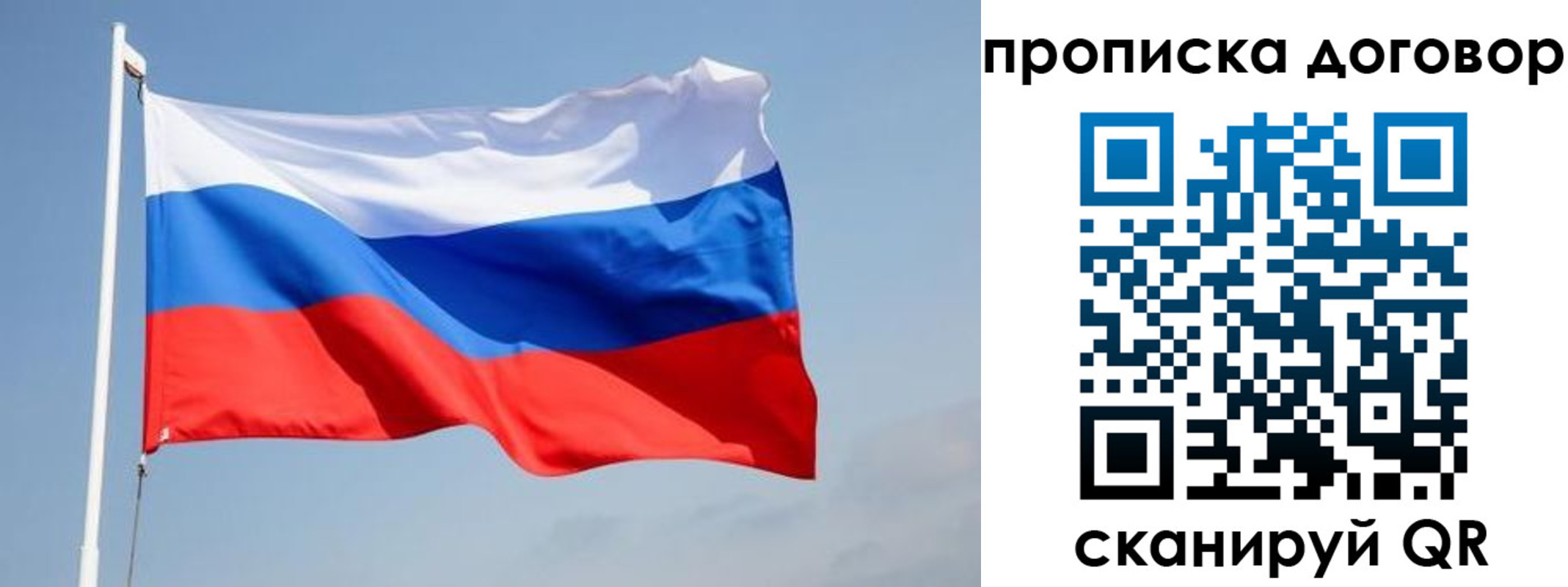 прописка для работы в Мытищах